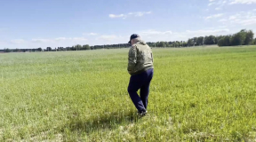 Как Оршанский район стал для Лукашенко местом позора