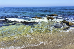 Дневник войны, глава 249. «Одесса живет! Чистое, прозрачное море манит своей бесконечностью»