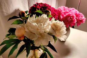 Дневник войны, глава 254. «Мы не только победим, мы еще и с корицей будем!»