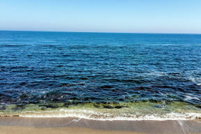 Дневник войны, глава 263. «Море соленое, песок горячий, лежаки заняты. Единственное, что бросается в глаза – российские беспилотники»