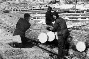 Чалый: «Лукашенко забывает то, что когда-то обнаружил еще Лаврентий Павлович Берия»