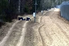 На литовско-беларуской границе из подкопа вылезли 30 мигрантов